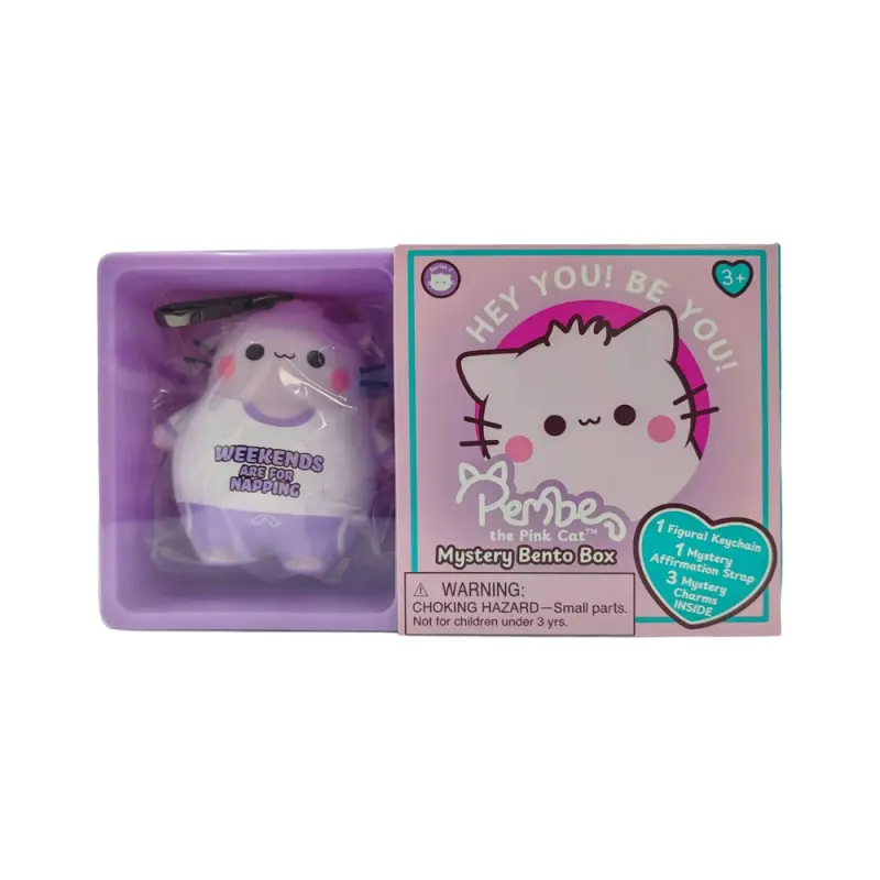 Pembe the Pink Cat - Mystery Bento Box