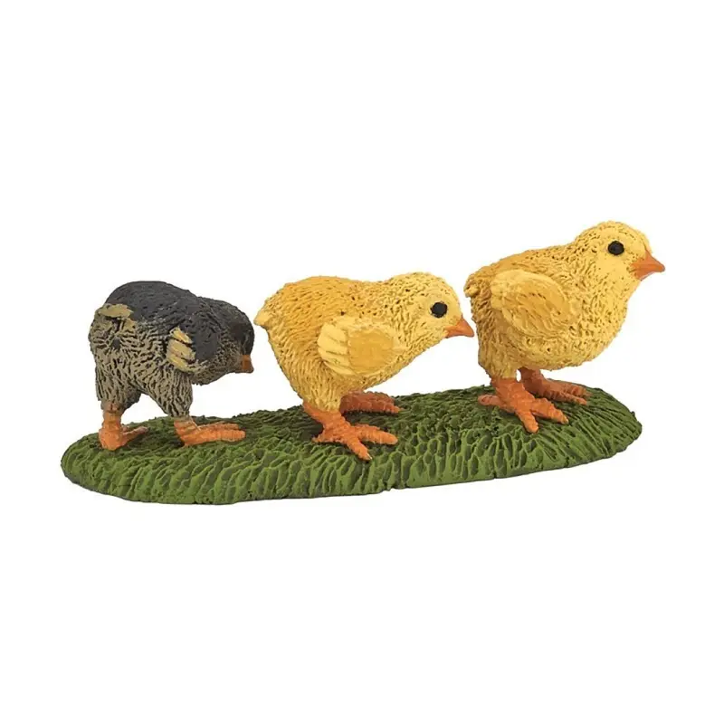 Pollito