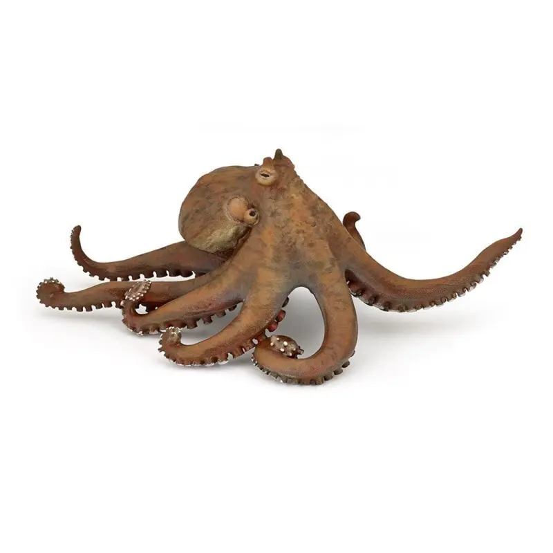 Pulpo