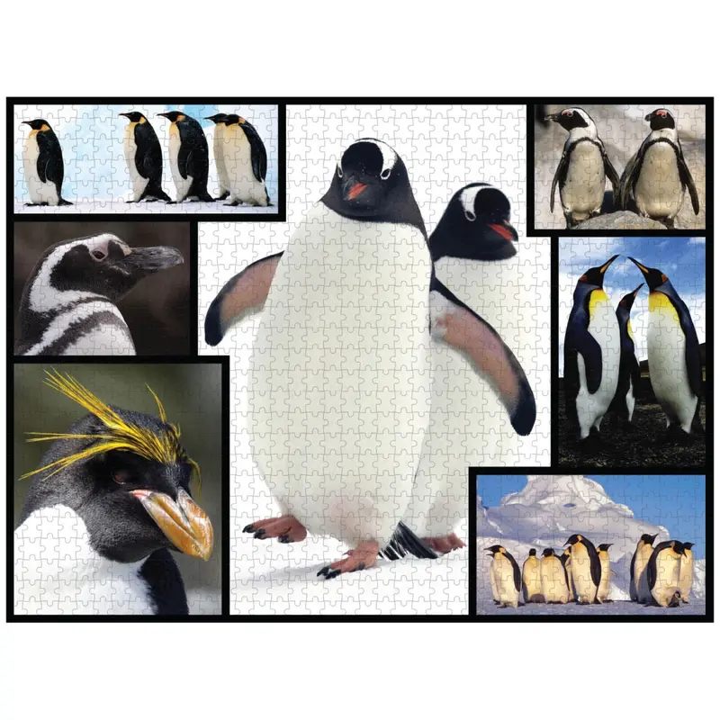 Puzzle Pingüinos 1000 piezas - Terra Toys 085