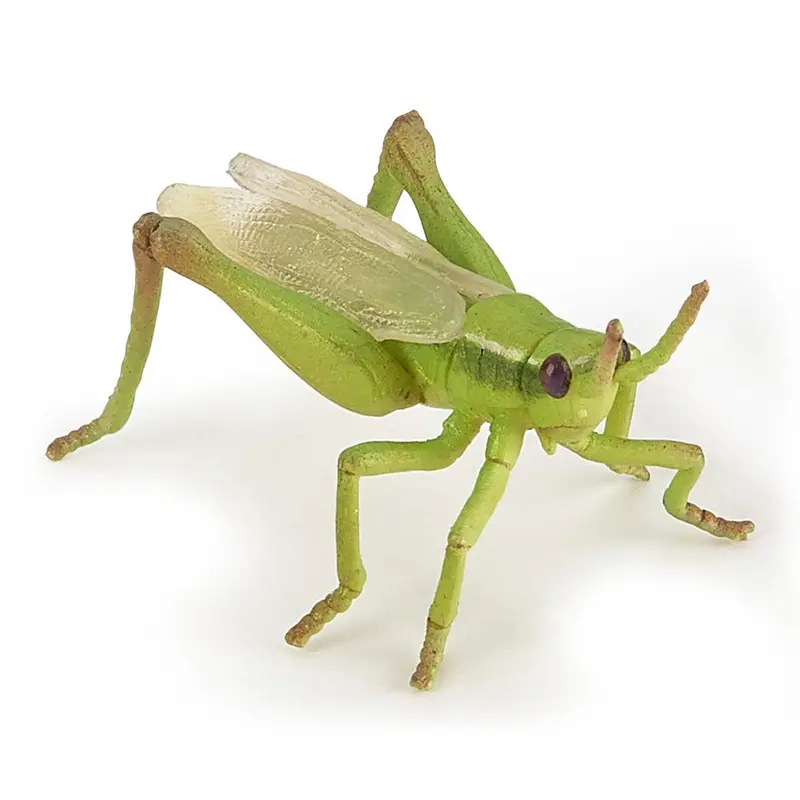 Saltamontes