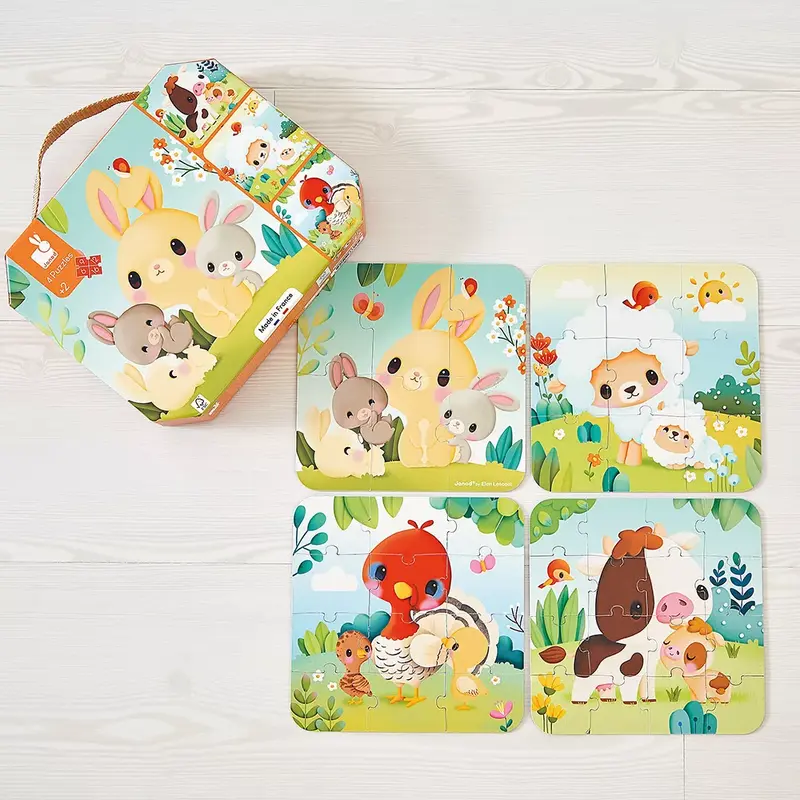 Set de 4 Puzzles Evolutivos