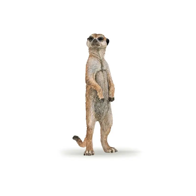 Suricata