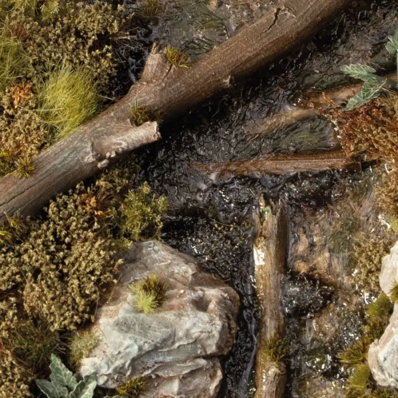 Swamp Shrubs