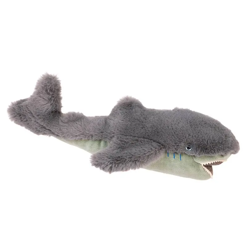 Tiburón pequeño Alrededor del mundo