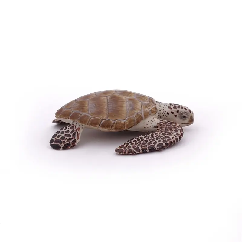 Tortuga de Mar