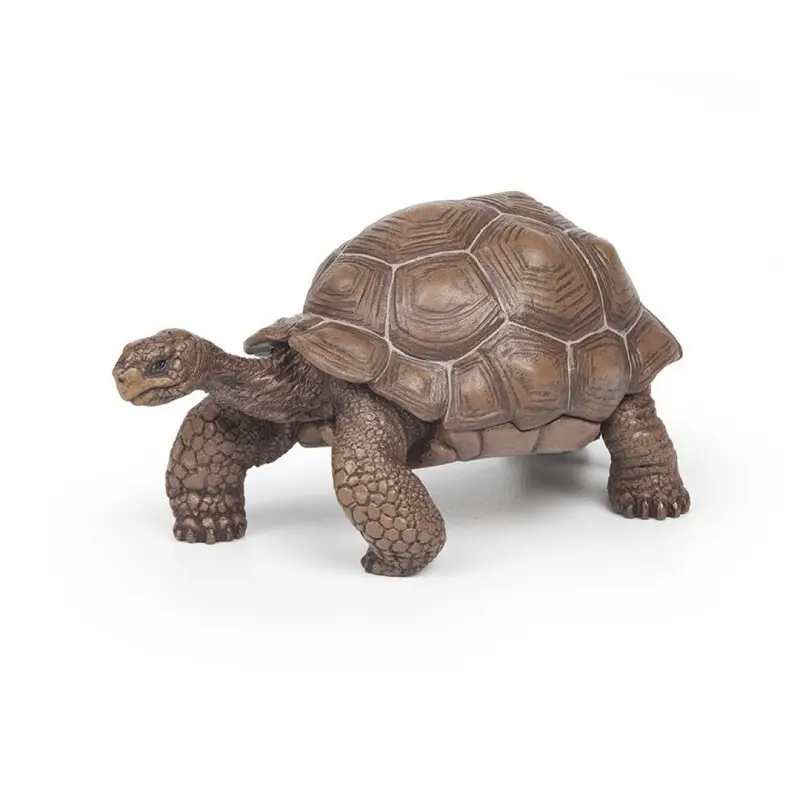 Tortuga Galapago