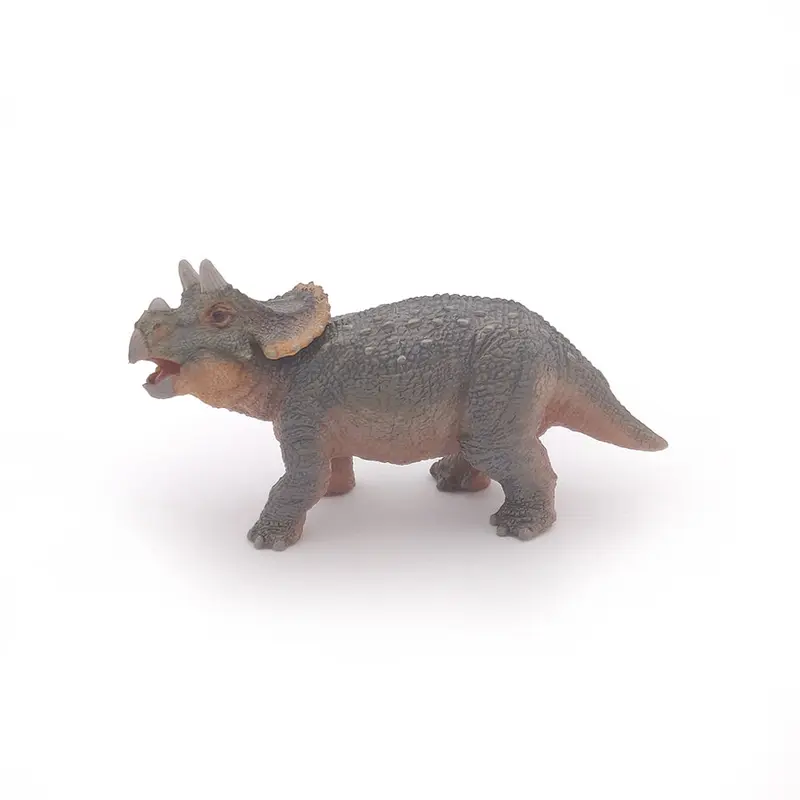Triceratops Cria