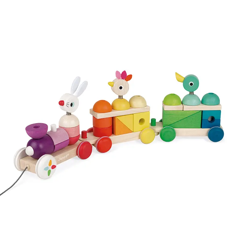 Zigolos Tren Gigante Multicolor - Janod