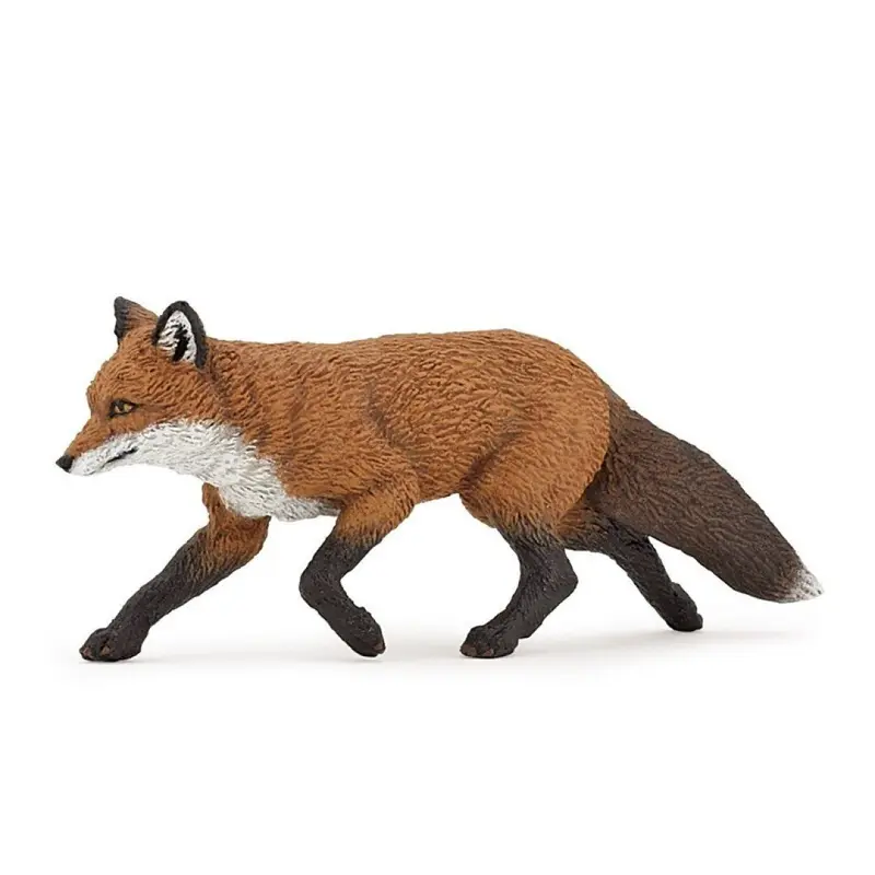 Zorro